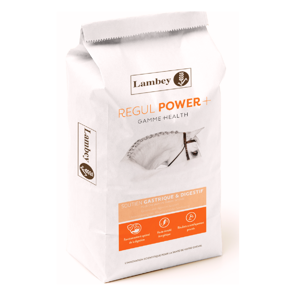 REGUL POWER + – Image 2