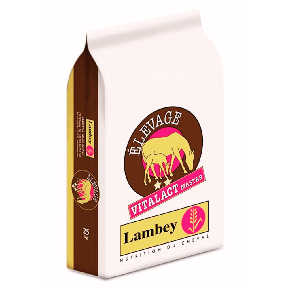 VITALACT MASTER – Image 2